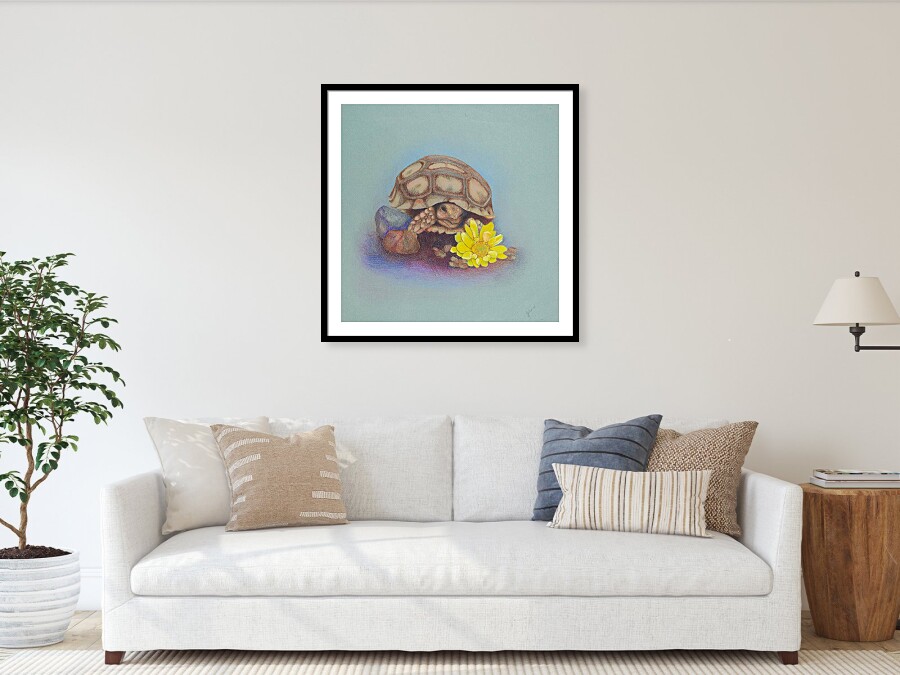 Desert Tortoise by Julia Fong